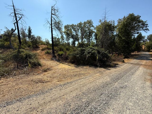 9985 Wendell Rd, Mountain Ranch, CA 95246