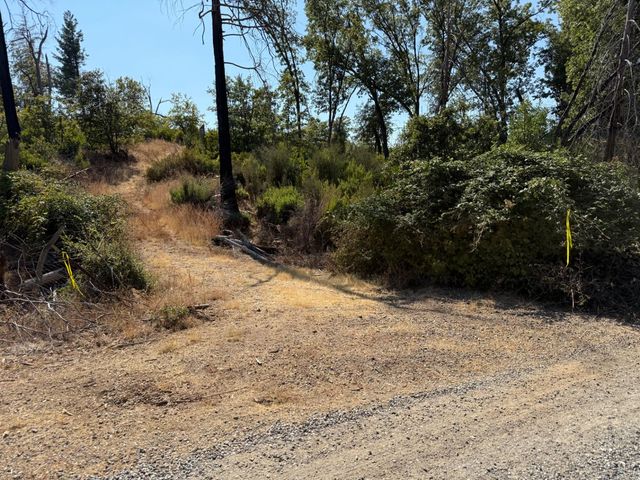 9985 Wendell Rd, Mountain Ranch, CA 95246