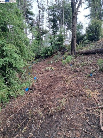 0 Fallen Leaf Dr, Boulder Creek, CA 95006