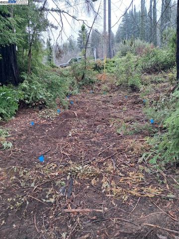 0 Fallen Leaf Dr, Boulder Creek, CA 95006