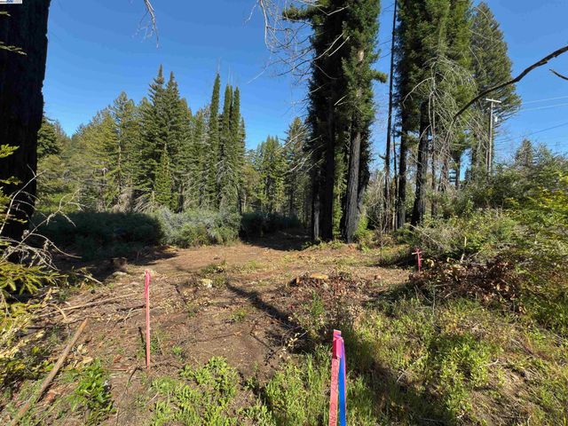 0 Fallen Leaf Dr, Boulder Creek, CA 95006