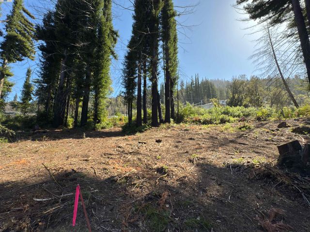 0 Fallen Leaf Dr, Boulder Creek, CA 95006