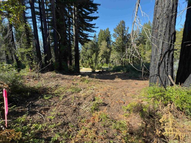 0 Fallen Leaf Dr, Boulder Creek, CA 95006