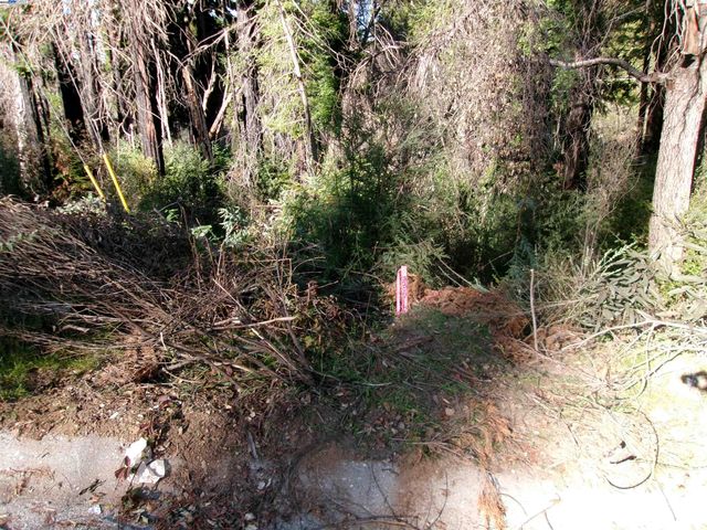 0 Fallen Leaf Dr, Boulder Creek, CA 95006