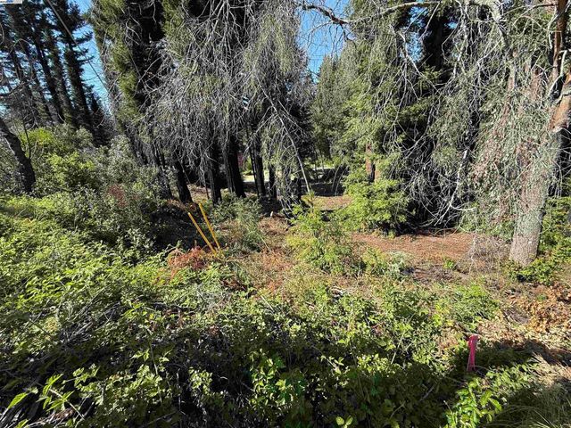 0 Fallen Leaf Dr, Boulder Creek, CA 95006