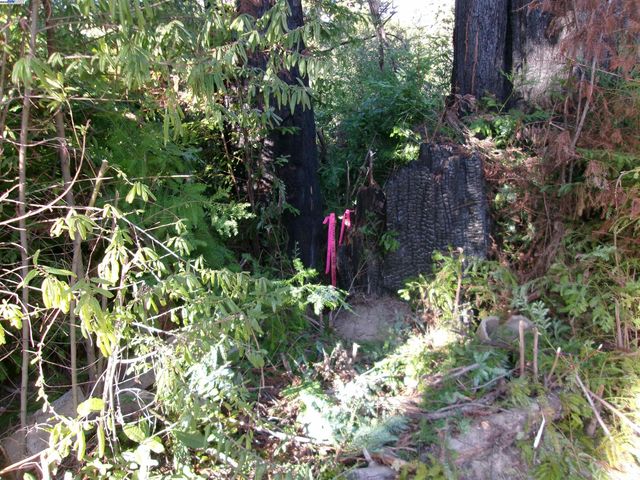 0 Fallen Leaf Dr, Boulder Creek, CA 95006