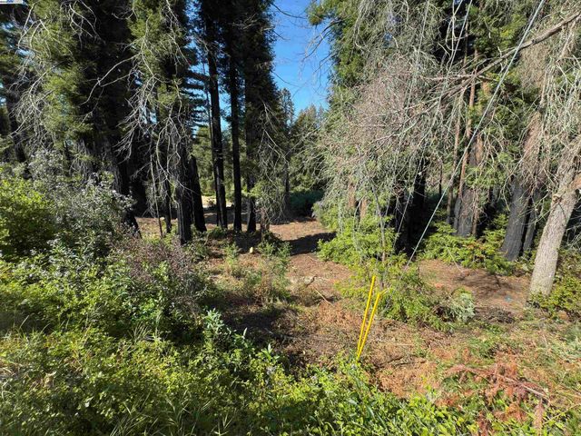 0 Fallen Leaf Dr, Boulder Creek, CA 95006