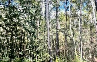 Jeff Road, Gulfport, MS 39503