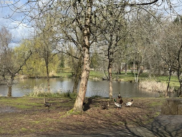 808 Nw 14TH Ave, Battle Ground, WA 98604