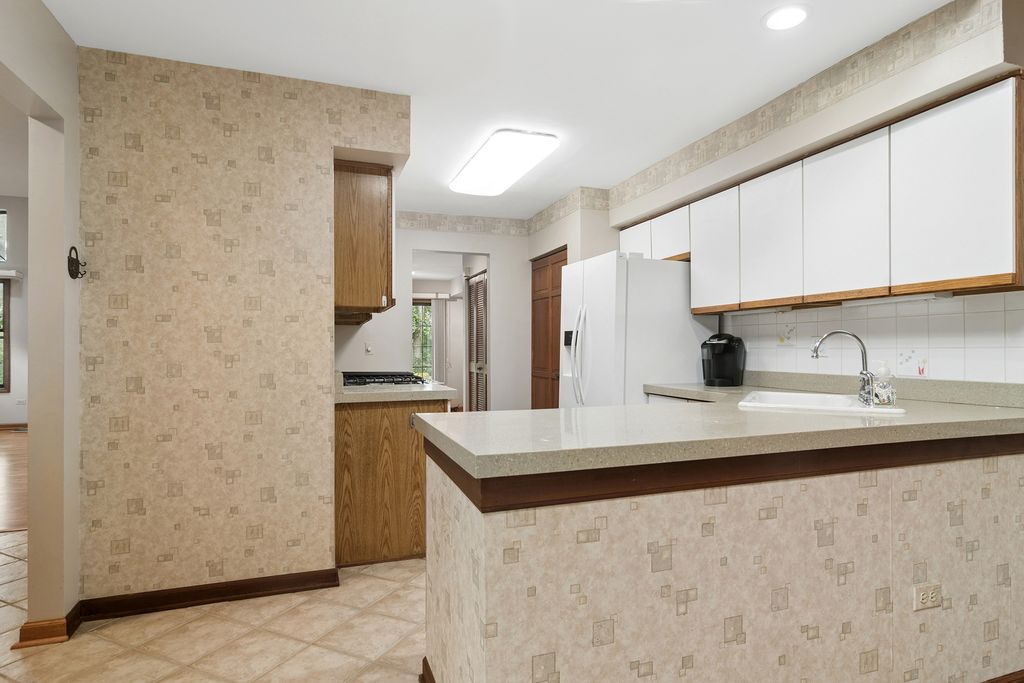 1039 N Auburn Woods Drive 1039, Palatine, IL 60067 — photo 5