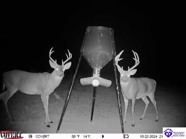 2586 Logsdon Cemetery Road, Clarkson, KY 42726