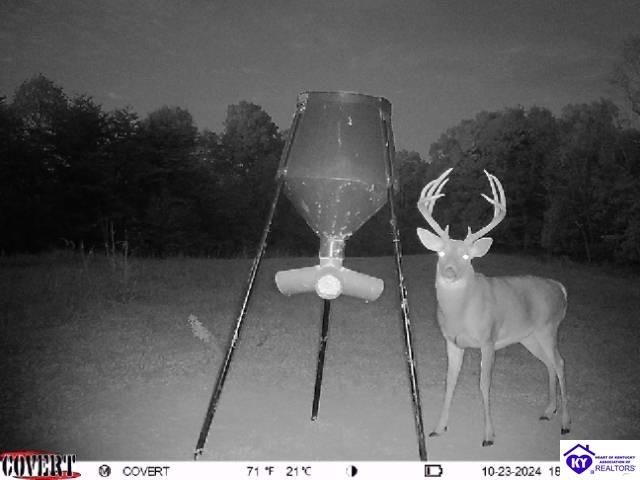 2586 Logsdon Cemetery Road, Clarkson, KY 42726