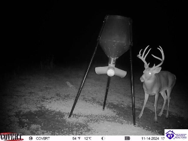 2586 Logsdon Cemetery Road, Clarkson, KY 42726