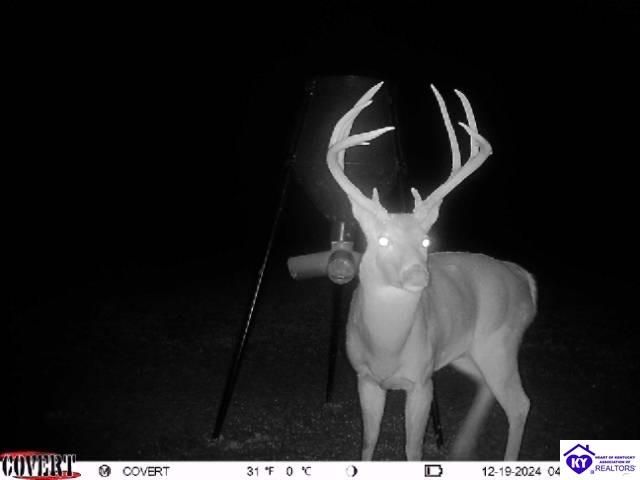 2586 Logsdon Cemetery Road, Clarkson, KY 42726