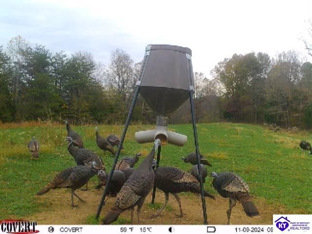 2586 Logsdon Cemetery Road, Clarkson, KY 42726