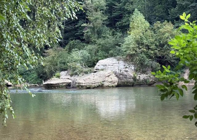 301 Otter Creek Road, Strunk, KY 42649