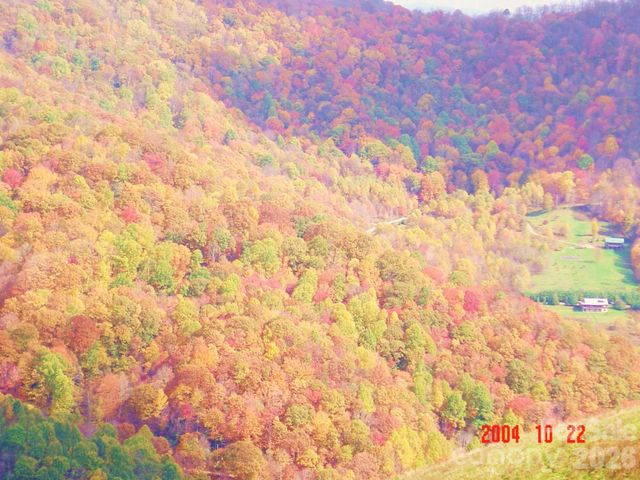 1050 Turkey Trot Road, Clyde, NC 28721