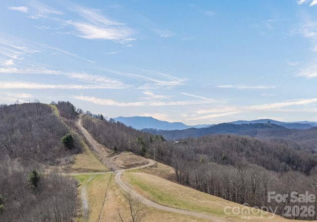 1050 Turkey Trot Road, Clyde, NC 28721