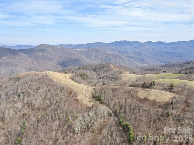 1050 Turkey Trot Road, Clyde, NC 28721