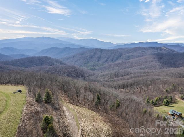 1050 Turkey Trot Road, Clyde, NC 28721