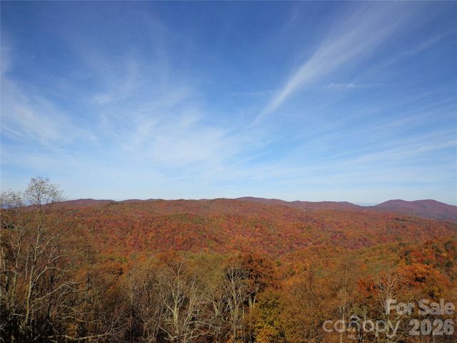 1050 Turkey Trot Road, Clyde, NC 28721
