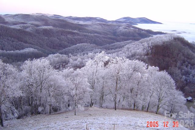1050 Turkey Trot Road, Clyde, NC 28721