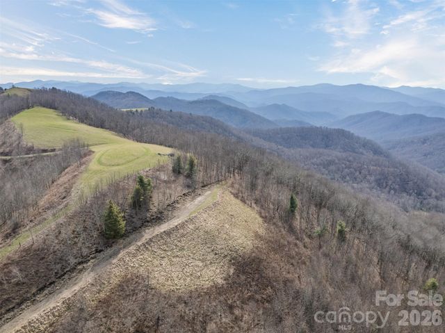 1050 Turkey Trot Road, Clyde, NC 28721