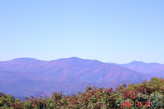 1050 Turkey Trot Road, Clyde, NC 28721