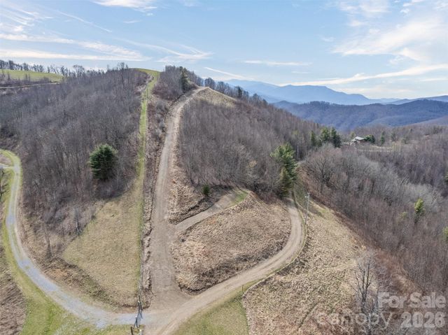 1050 Turkey Trot Road, Clyde, NC 28721