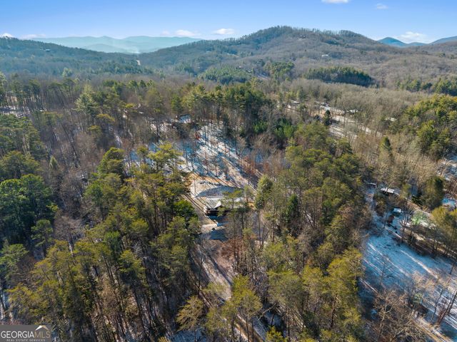 50 Thrasher Drive, Blue Ridge, GA 30513