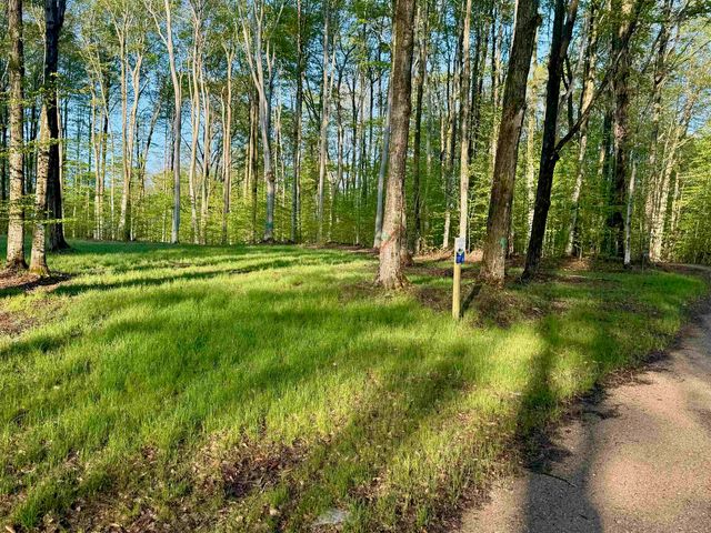 002 S Bright Road, Kasson Twp, MI 49664