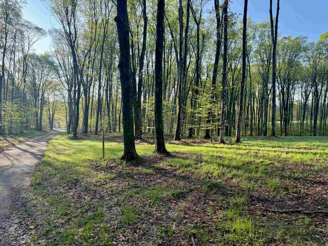 002 S Bright Road, Kasson Twp, MI 49664