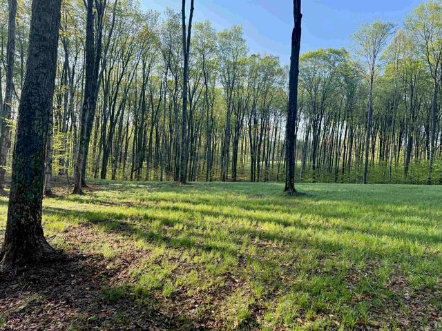 002 S Bright Road, Kasson Twp, MI 49664