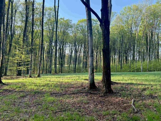 002 S Bright Road, Kasson Twp, MI 49664