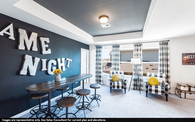 16709 Lacey Drive, Celina, TX 75009