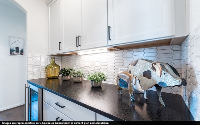 16709 Lacey Drive, Celina, TX 75009