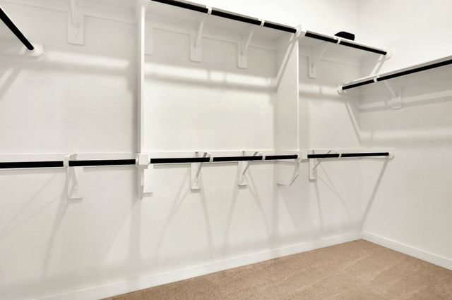 325 Great Hills Drive, Montgomery, TX 77316