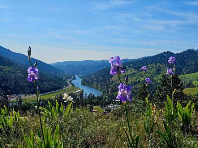 91 Shasta Cir, Orofino, ID 83544