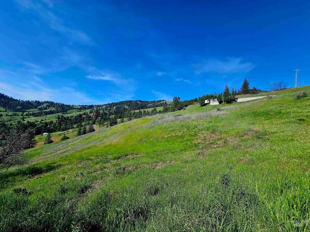 91 Shasta Cir, Orofino, ID 83544
