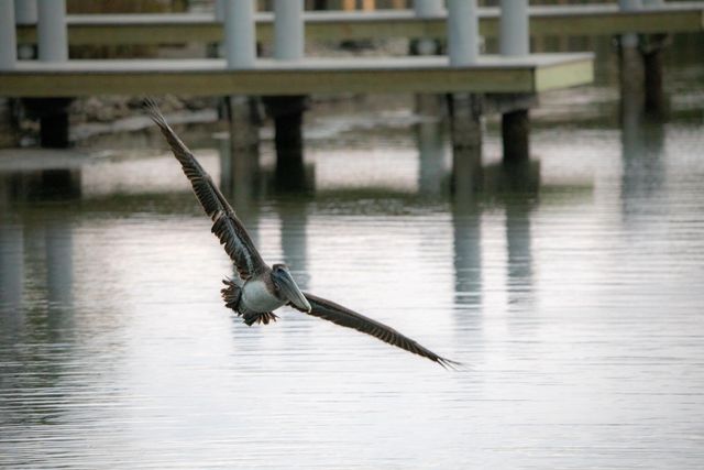 I-14 Mallard Lane, Santa Rosa Beach, FL 32459