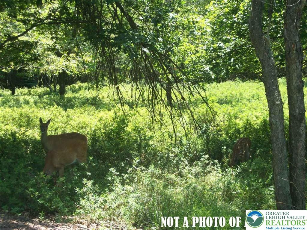 South Spring Valley Road, Williams Twp, PA 18042