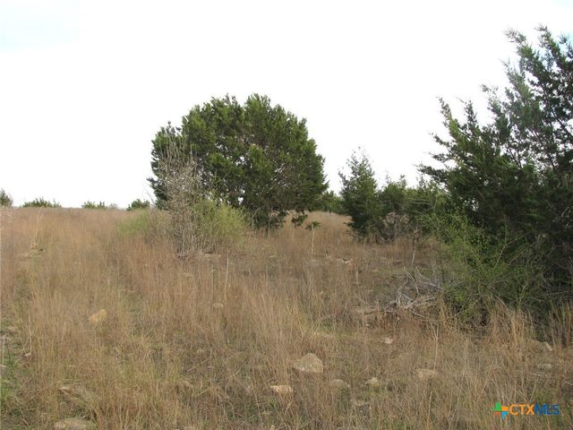 19.95 Acres TBD Old Georgetown Road, Gatesville, TX 76528
