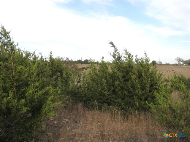 19.95 Acres TBD Old Georgetown Road, Gatesville, TX 76528