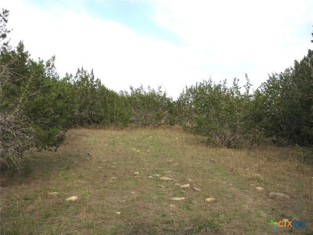 19.95 Acres TBD Old Georgetown Road, Gatesville, TX 76528
