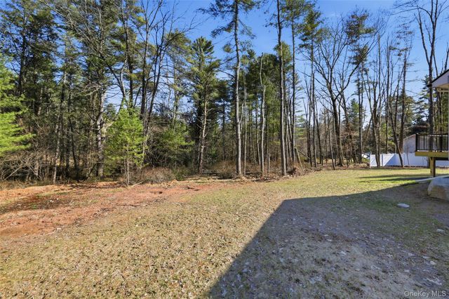 21 Crawford Road, Eldred, NY 12528