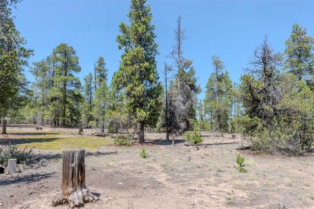124 Fir Drive, Twin Lakes, CO 81251