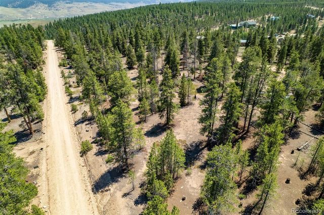 124 Fir Drive, Twin Lakes, CO 81251