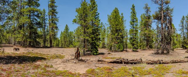 124 Fir Drive, Twin Lakes, CO 81251