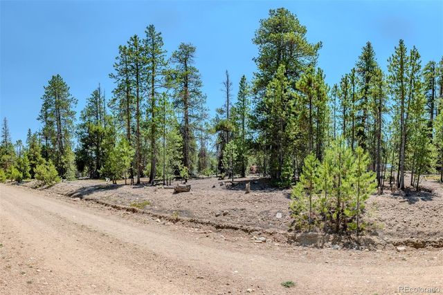 124 Fir Drive, Twin Lakes, CO 81251