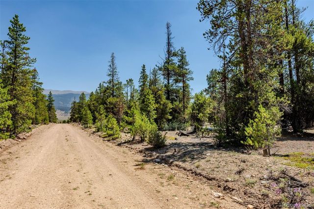 124 Fir Drive, Twin Lakes, CO 81251